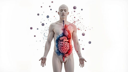 What Causes High White Blood Cells and What It Means for Longevity