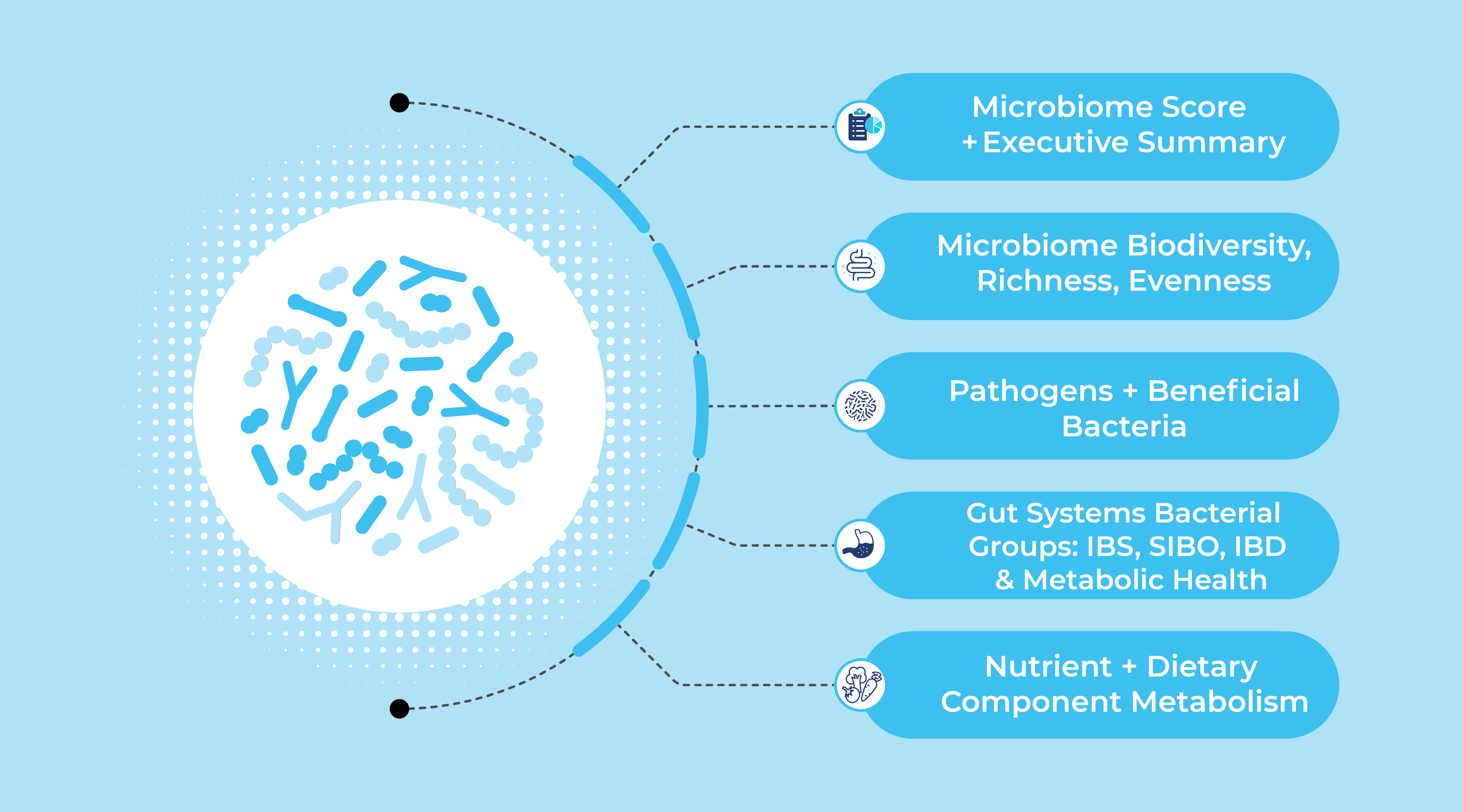 GutID Core Gut Insights Test | Lola Health