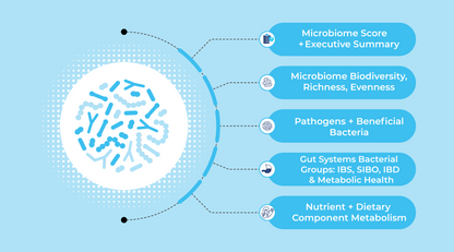 GutID CGI - Core Gut Insights