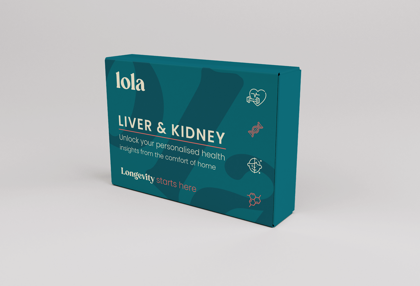 Liver & Kidney Function